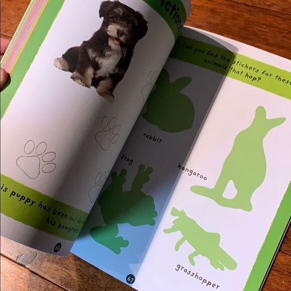 First Words Sticker Activity Book New - Picture 5 of 12